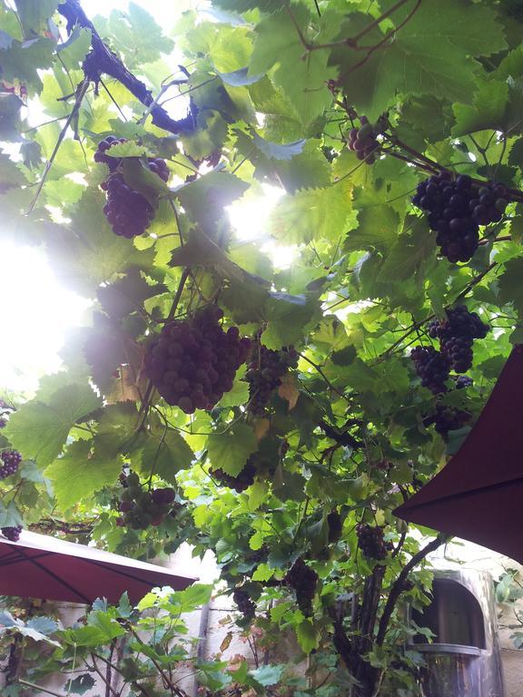 Weingut Haxel Hotel Cochem Luaran gambar