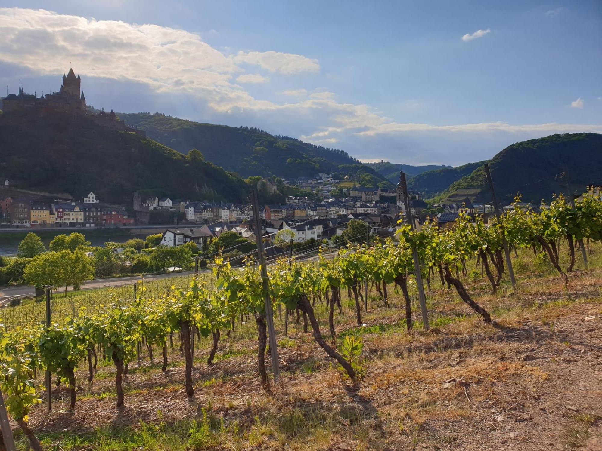 Weingut Haxel Hotel Cochem Luaran gambar